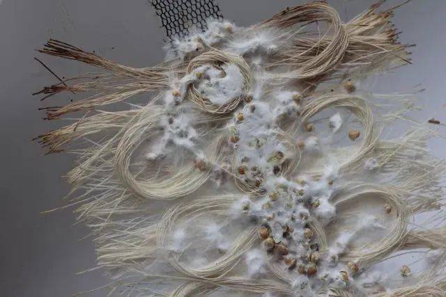 万物生息系列讲座四为生命系统而设计