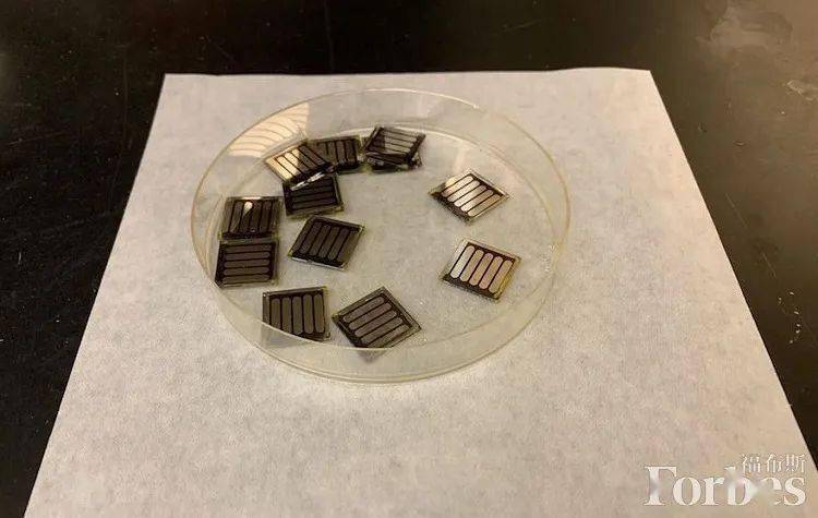 西湖大学最年轻博导王睿：钙钛矿太阳能电池突破与世界三大饮料| U30