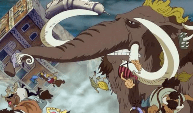 海贼王 现在的霸气系统更适合动物系果实 对自然系加成最少 因为