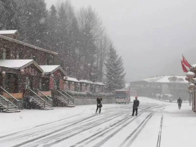 美！雪乡迎来第一场雪！