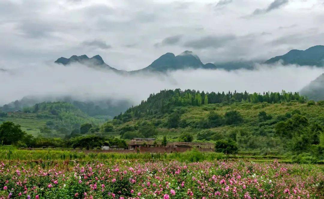 福建龍巖世界你好這是我的新名片