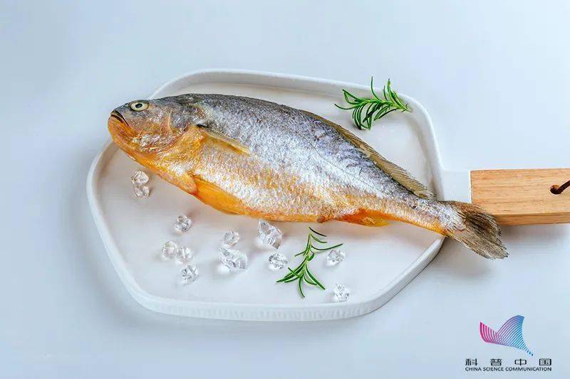 中国|每周吃鱼达到这个量，脑卒中风险下降14%！注意，这几种鱼被点名……