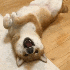 双手合十表情包图片 98974e74d7b548fbb7397c2c456b5777.gif