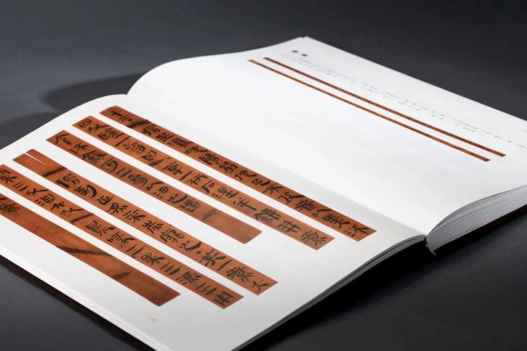 书讯荆州胡家草场西汉简牍选粹出版