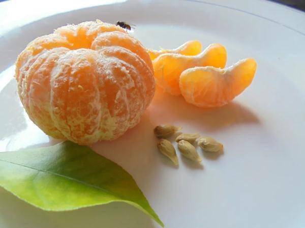 窍门|秋冬季不吃它太可惜！护眼、护肤、护血管…这样吃效果更好！