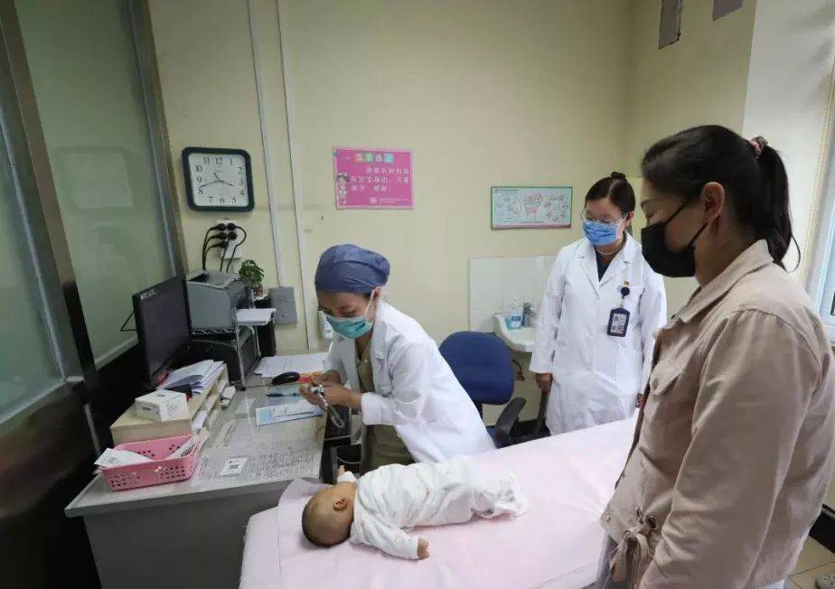 干细胞|把卵巢冻起来