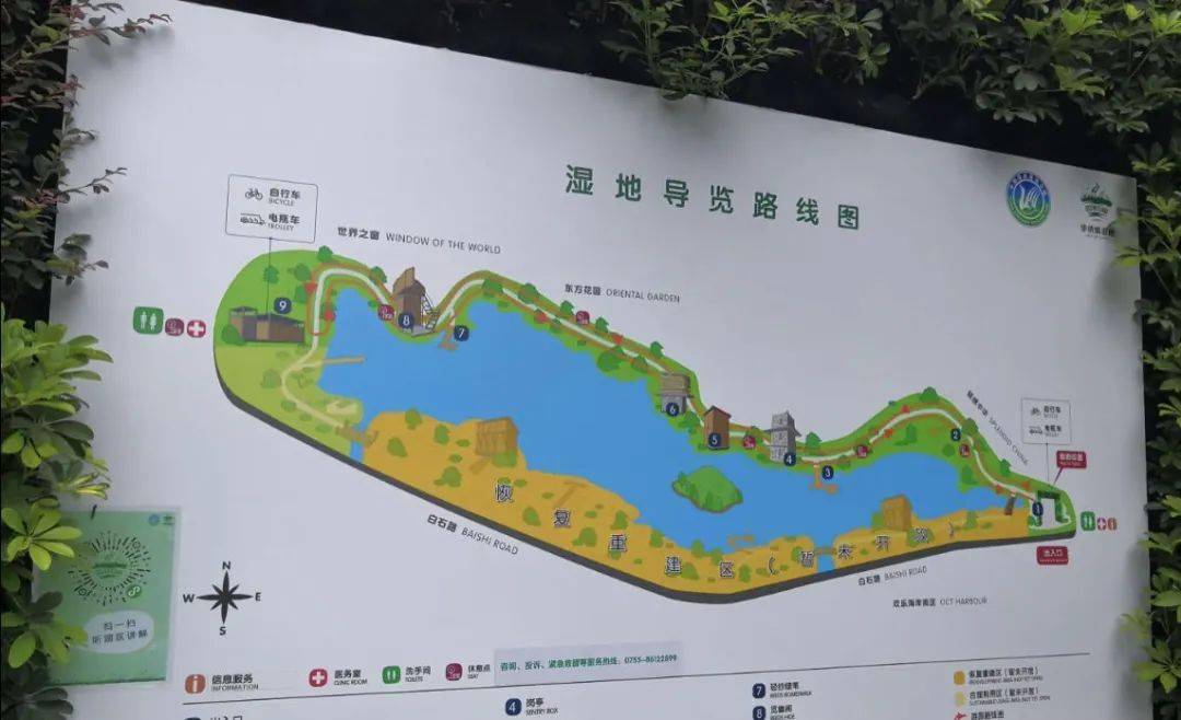 进门检票后,会有小小志愿者来介绍湿地公园的游览路线和配套设施,然后