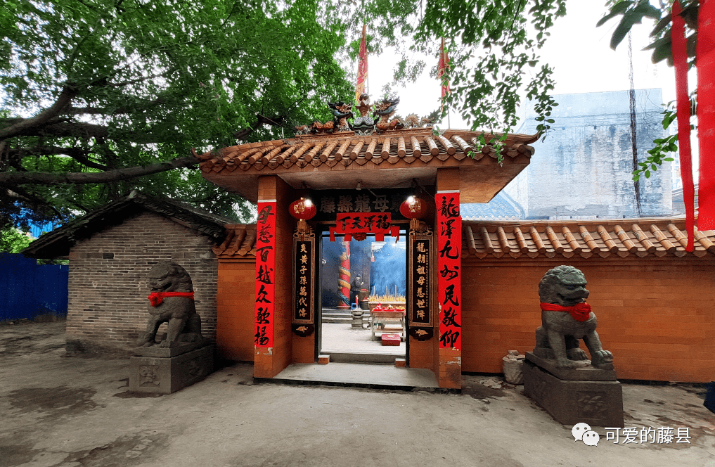 藤县龙母庙活动,热闹非凡,有龙狮团助阵!