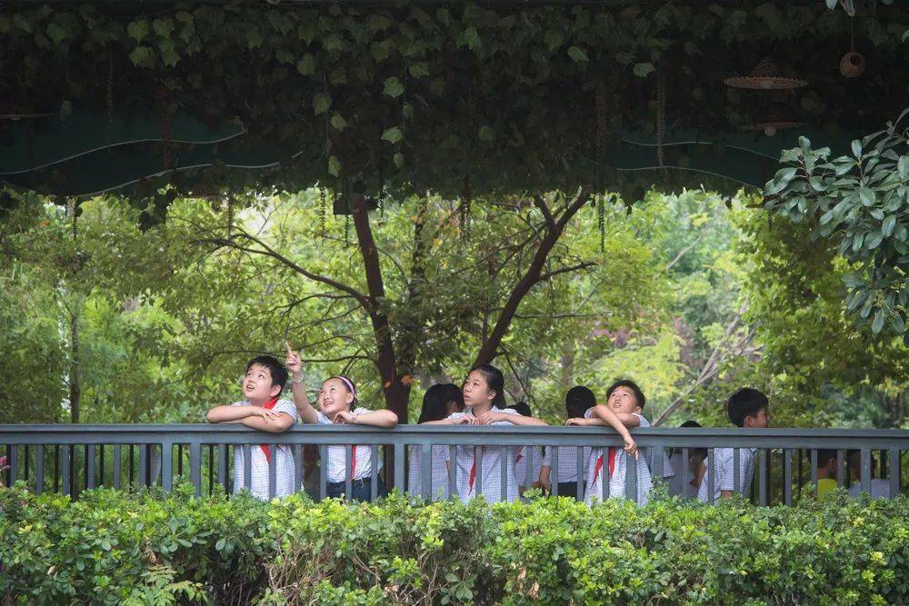 总体|2020年我国儿童青少年总体近视率是52.7％：“后浪”能否看“透”一生？