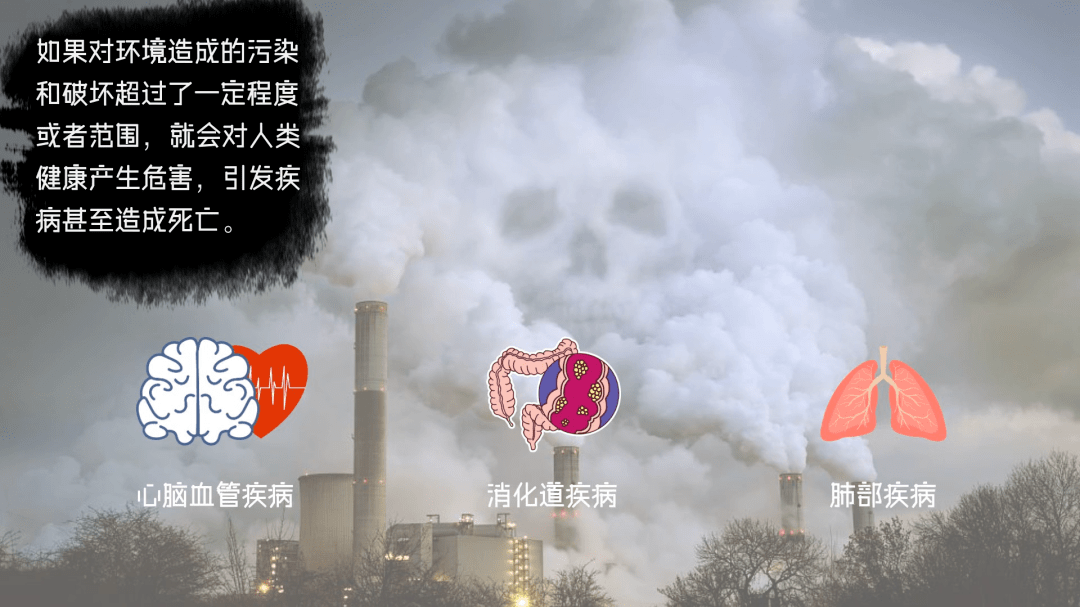 秒懂生态环境与健康第3集环境污染和生态破坏是影响健康的重要风险
