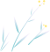 文章配图-2
