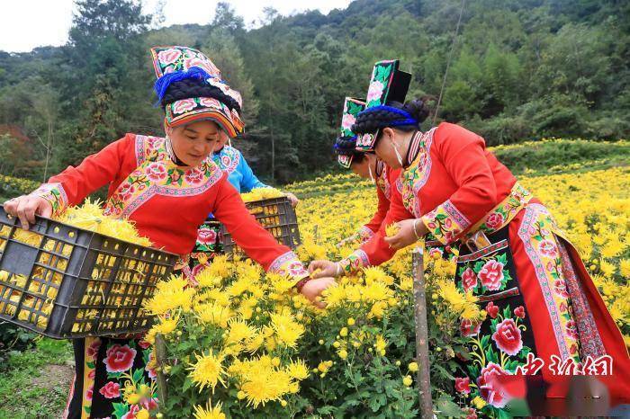 茂县土门镇gdp_冬闲变冬忙 茂县土门掀起人畜饮水管道建设热潮(2)