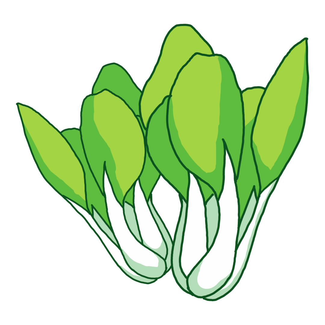 或4两小白菜……*考虑高温烹饪蔬菜维生素会流失一部分,可以适当多吃