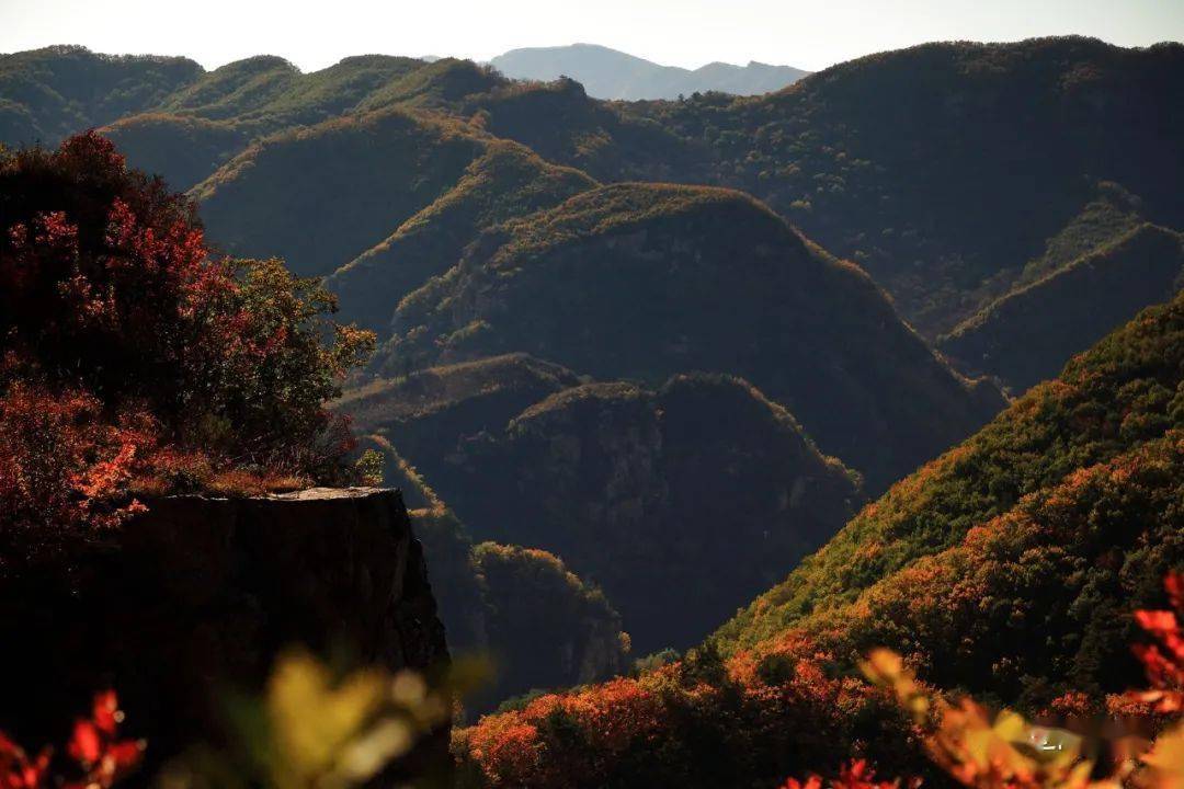 树树皆秋色,山山唯落晖!如诗如画的辽阳,邀您来赏秋