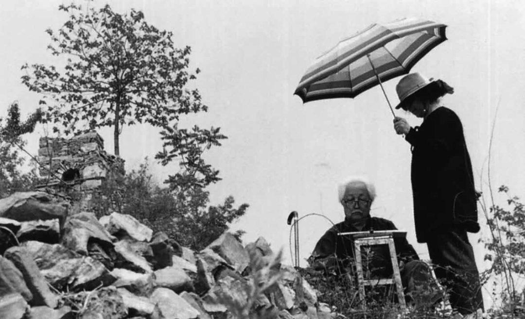 好书推荐张仃与灰娃这本书让这对神仙眷侣实现了诗画联璧