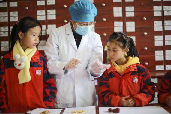 中药房|体验中医文化 迎接“世界传统医药日”