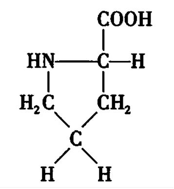 脯氨酸化学结构简式图片