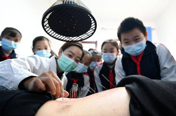 中药房|体验中医文化 迎接“世界传统医药日”