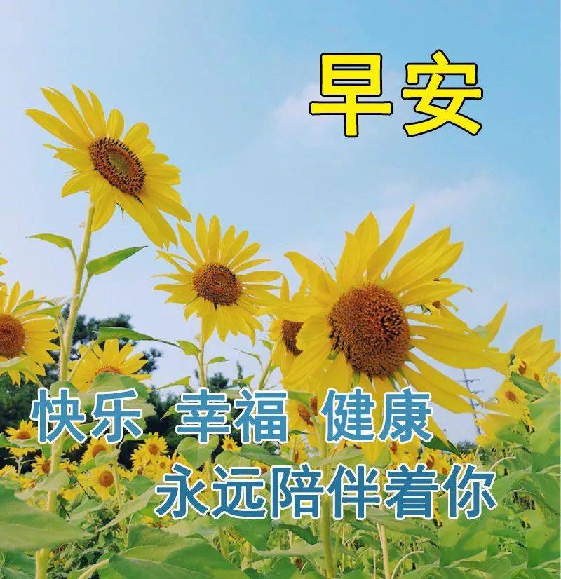 早安动态图片洒一片祝福在你身上愿你每天微笑心情大好