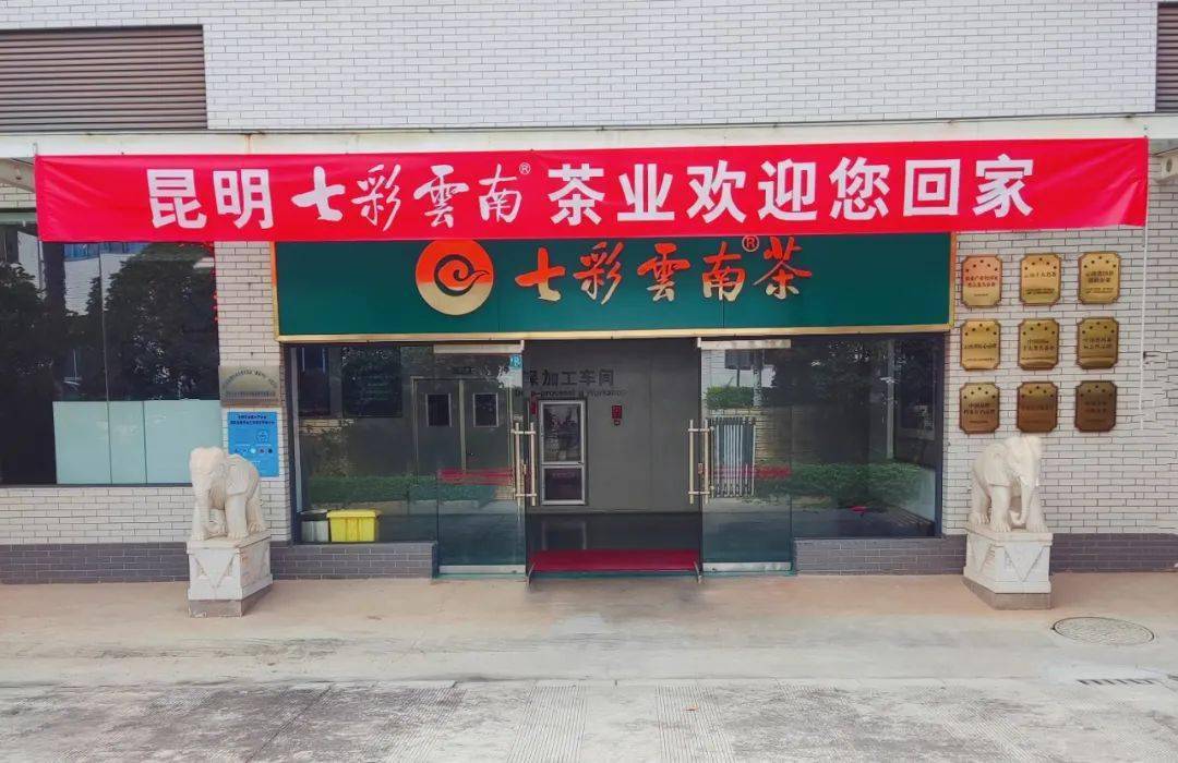 2021年七彩云南茶业【第十届秋季经销商总部培训—携手前行,共创