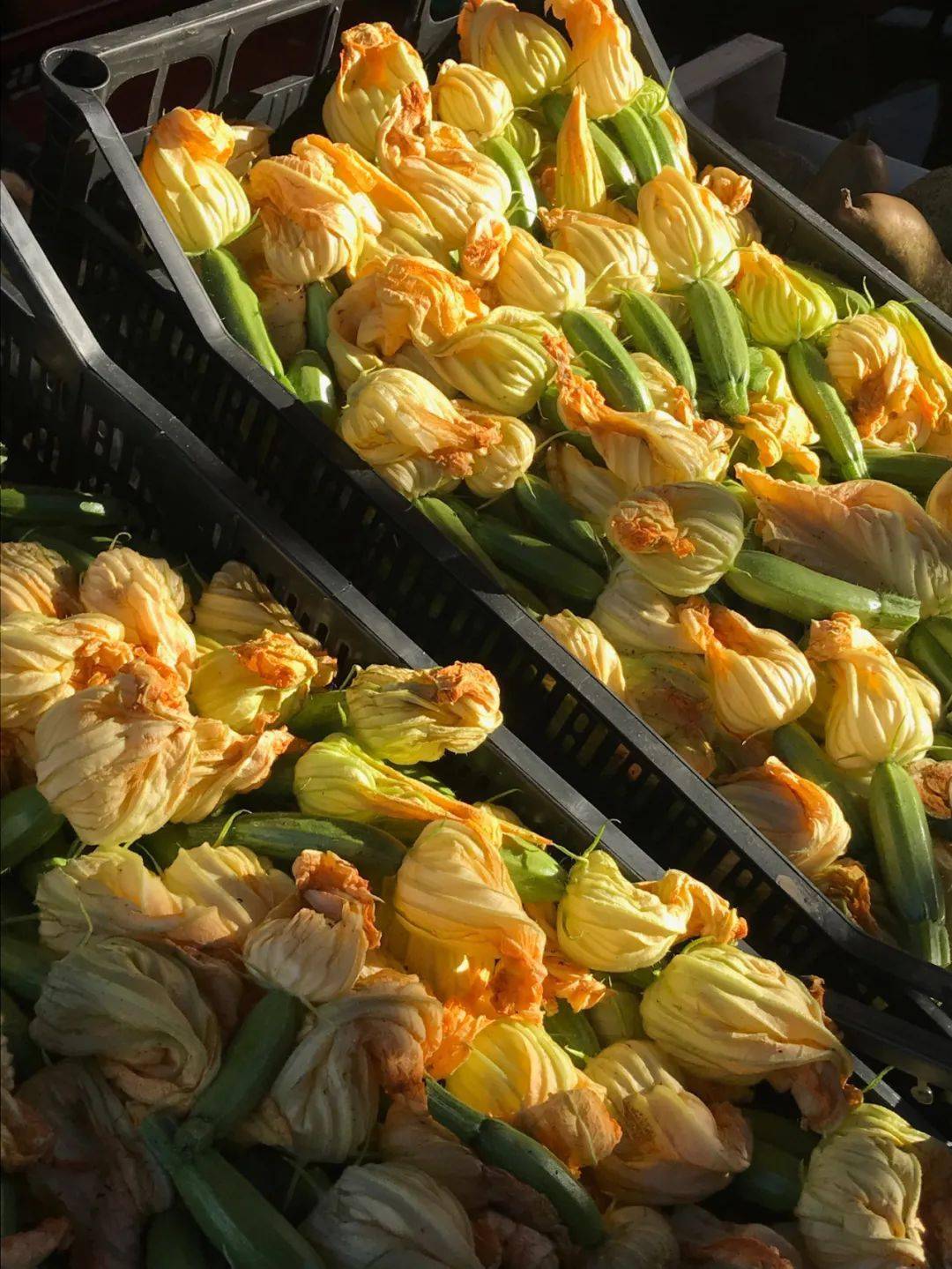 名字 爱马仕的设计师自己私下用些什么?