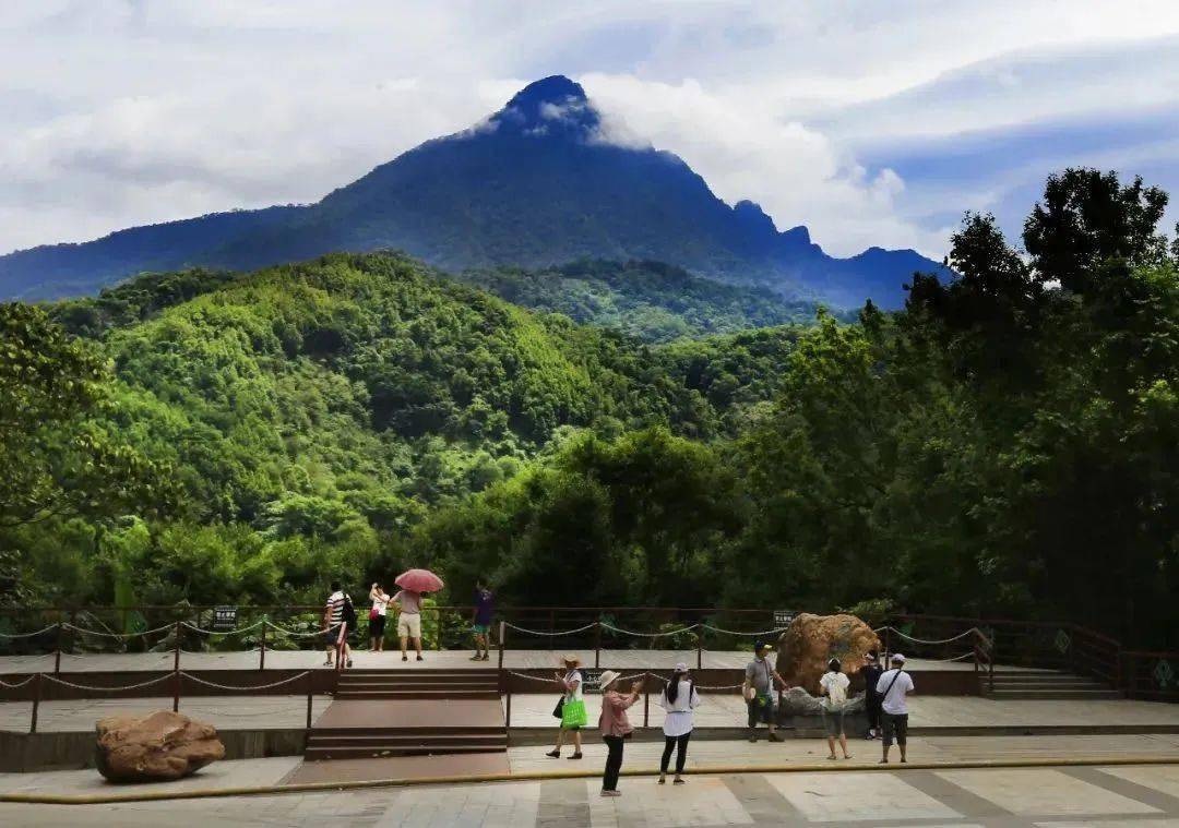 看腻了车水马龙?那来五指山市看看别样的诗意田园
