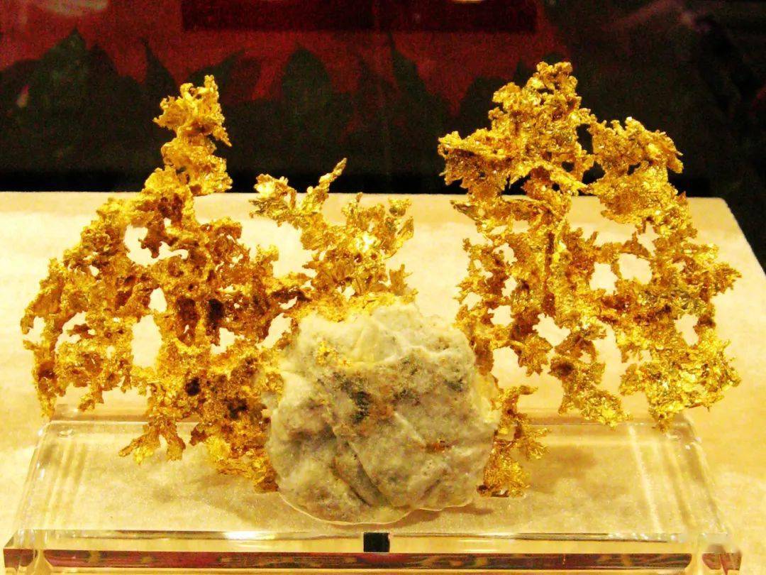 狗头金不简单的金疙瘩