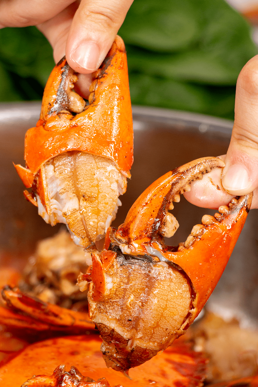 被吃货逼开分店晋江蟹锅天花板求求不要再排队