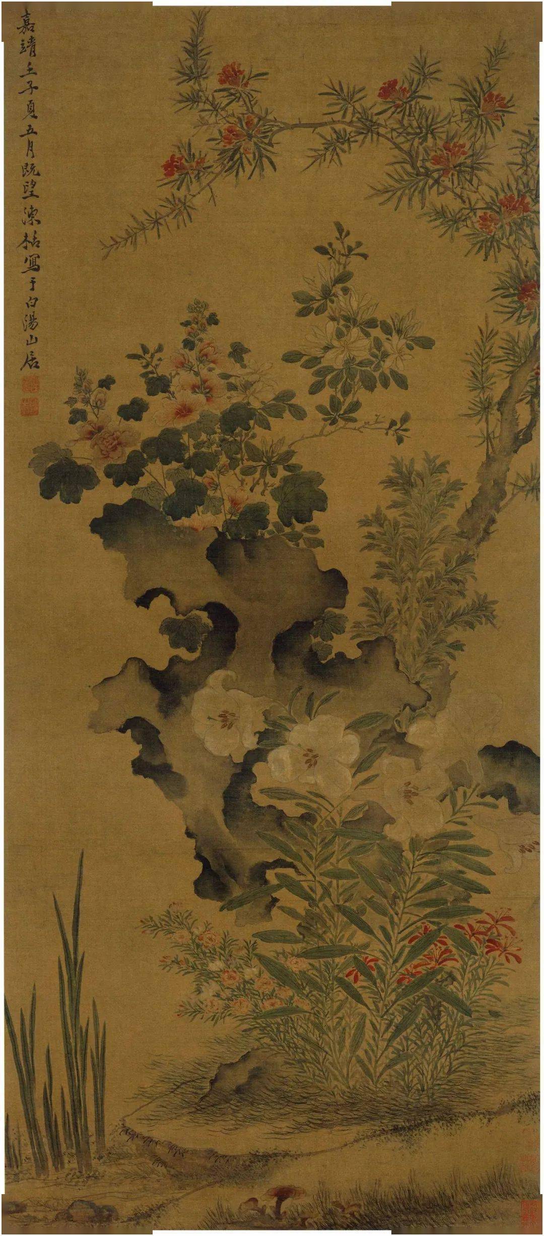 明代花鸟画巨匠陈白阳