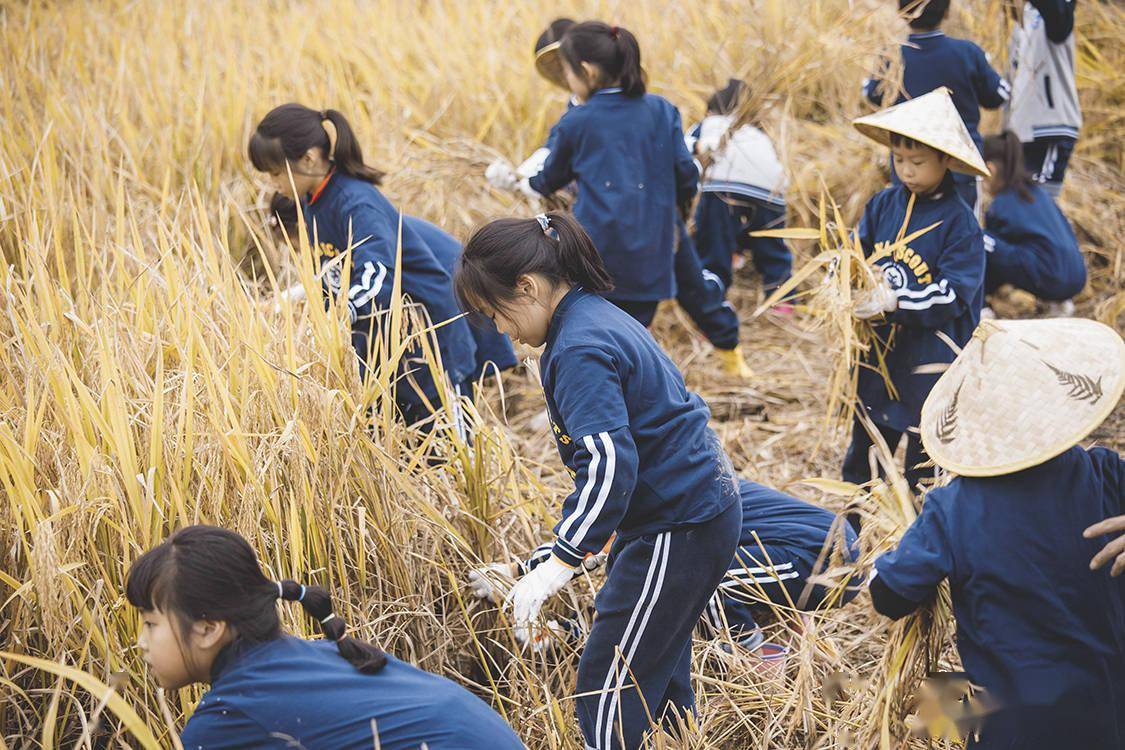 教育|温州瓯海：首家混合制劳动教育和研学实践共同体成立