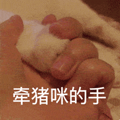 沙雕表情包双来啦你别给我装蒜
