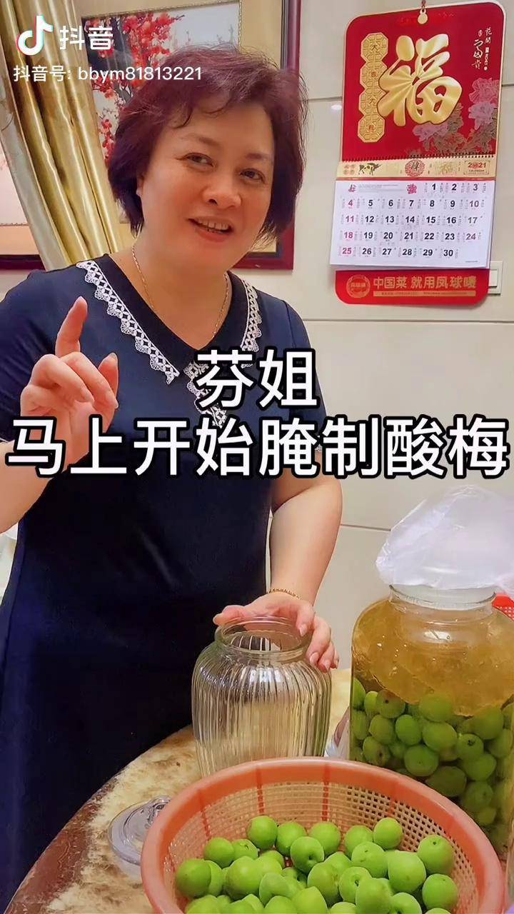 酸李子足球农庄青梅芬姐分享腌制酸梅酸梅可以做美食酸梅鹅酸梅排骨