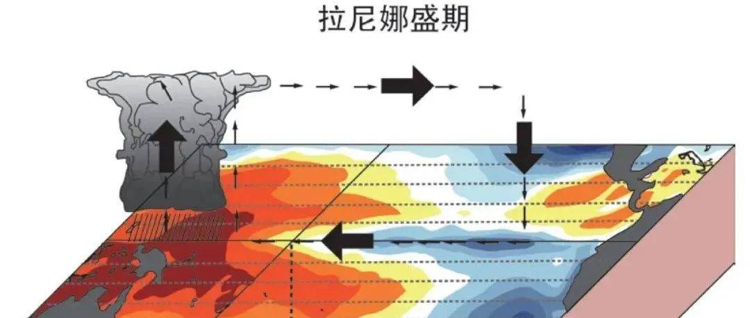 “双拉尼娜”来了！今年冬天的寒冷会加倍吗？_事件