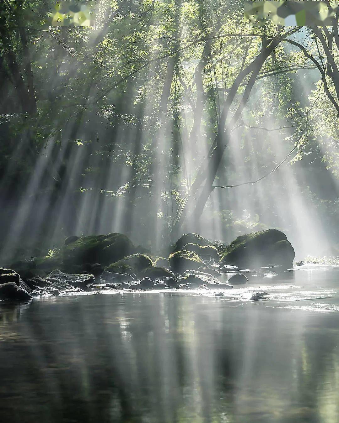 有雾难出佳片分享5招利用好朦胧雾气
