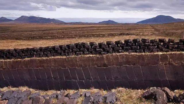 泥煤味到底是什么味第一次接触泥煤的人不一定形容得出来只知道那是股