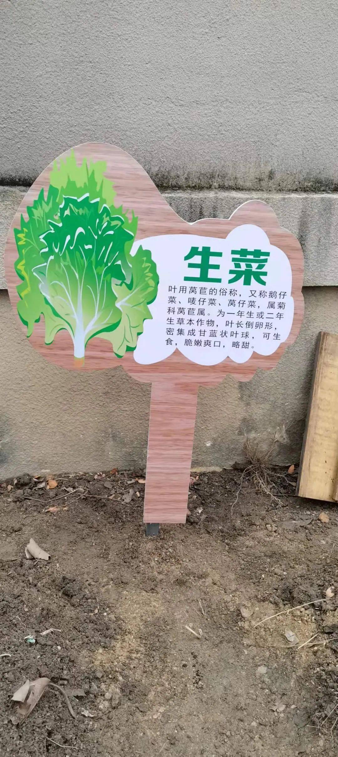 蔬菜基地标语图片