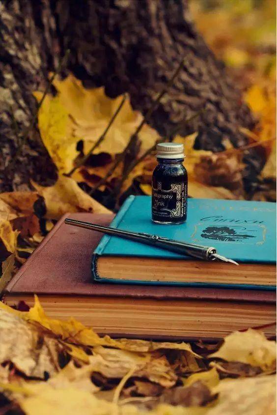 摄影秋天的落叶，怎么拍才惊艳？技巧全在这里了！