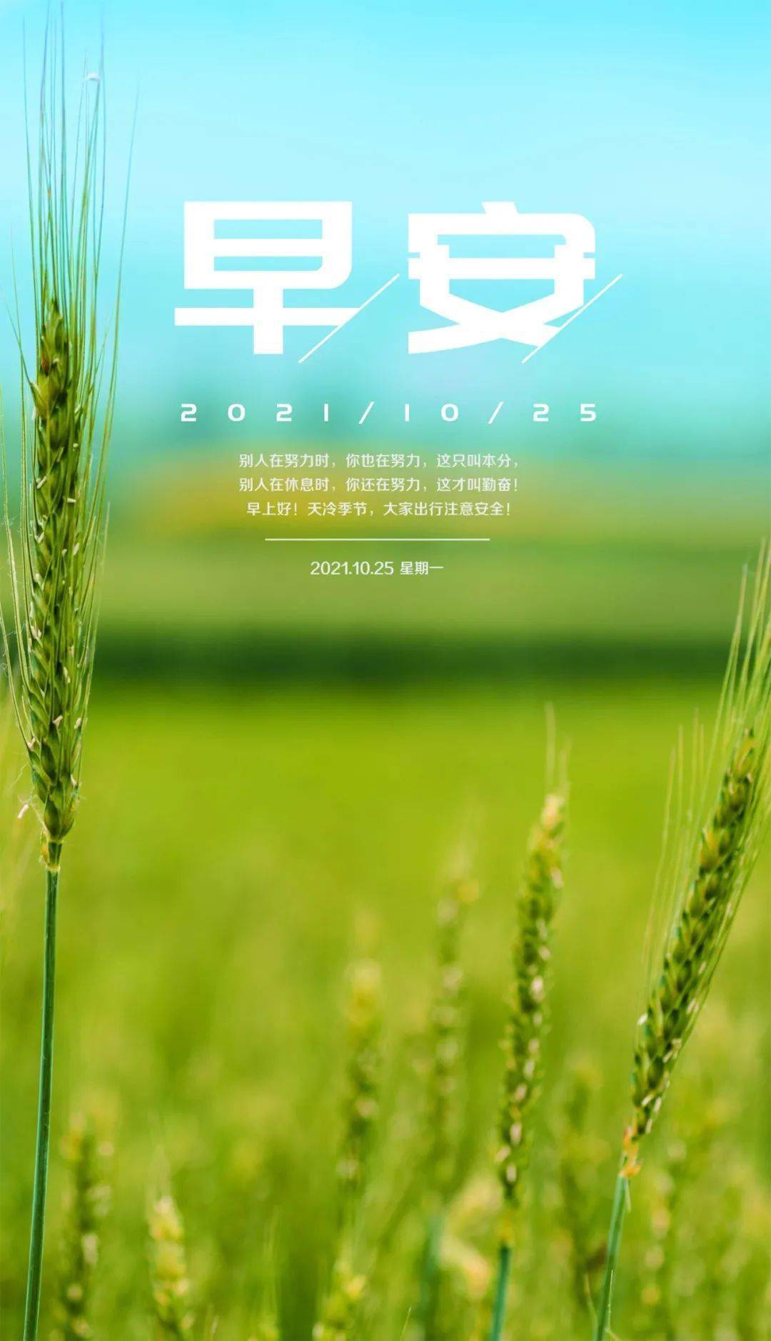 10月25日早安心语正能量流行语录说说治愈人心的早上好正能量图片语句
