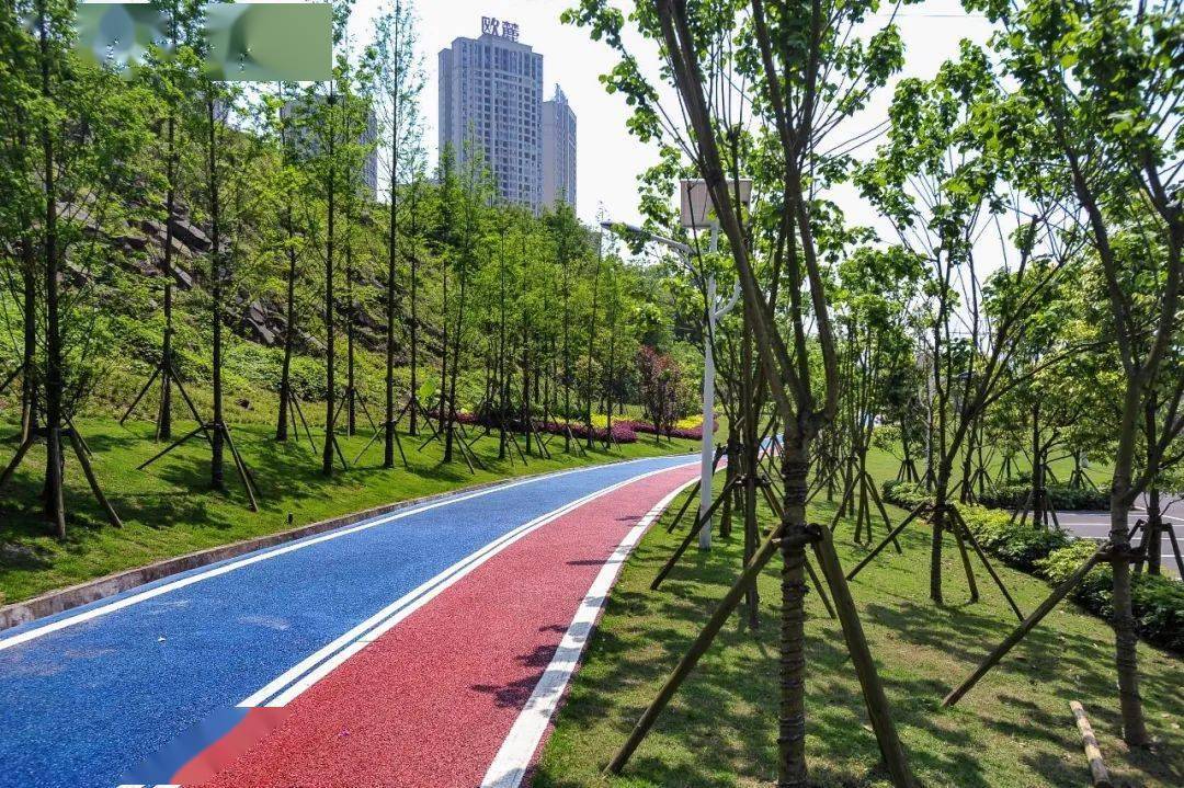 城市绿心森林公园跑道图片