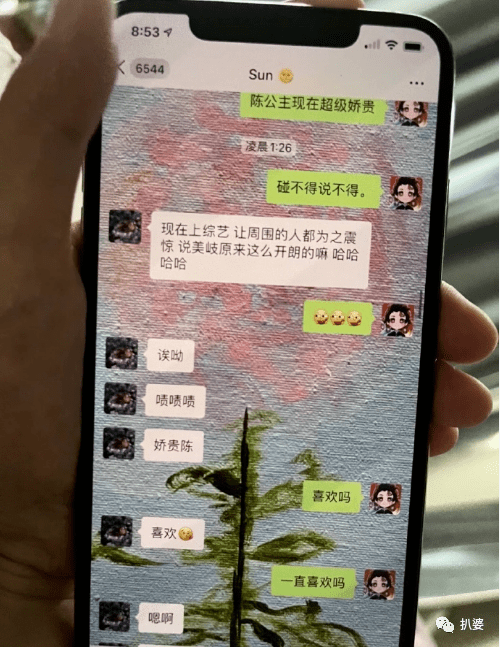 疑似孟美岐(左边)和陈令韬的微信聊天记录里.