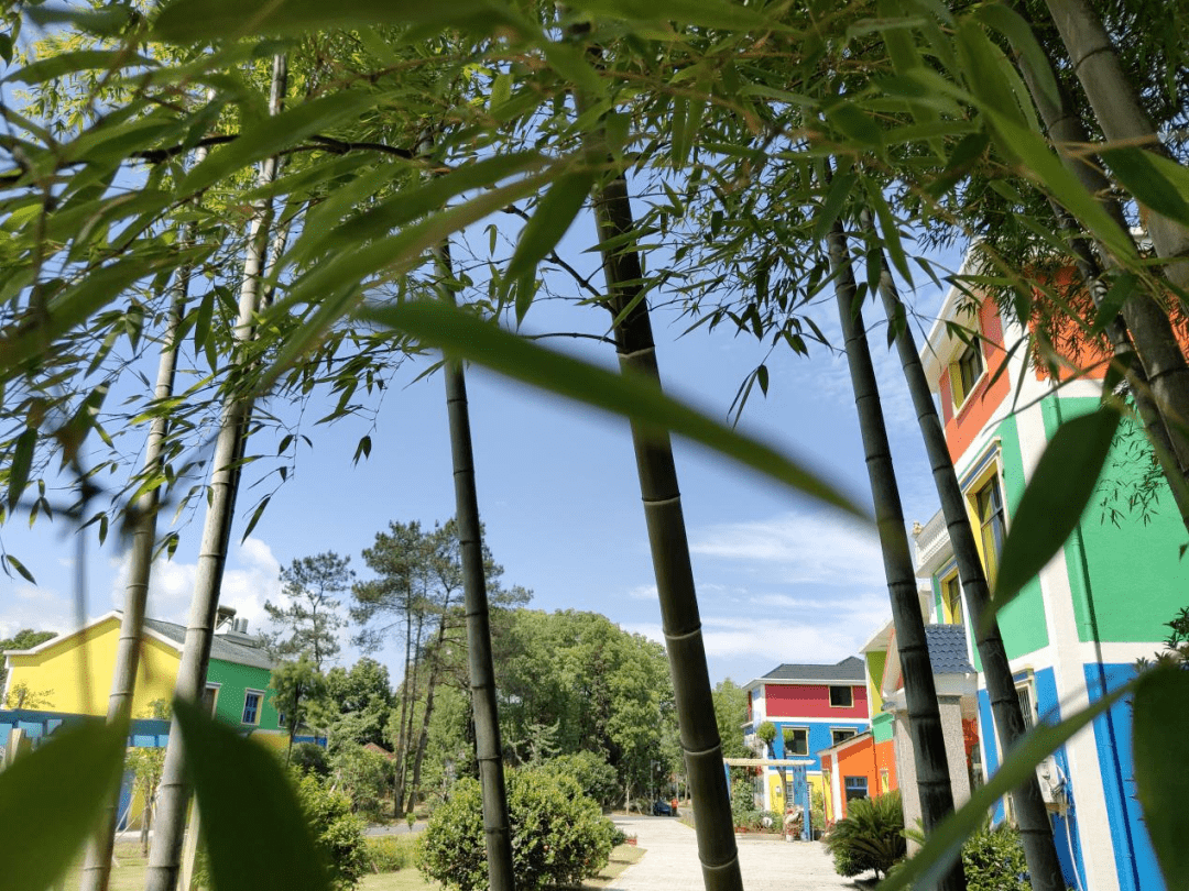 微改造 · 精提升 | 古堰明珠改风貌,七彩浦山焕新颜