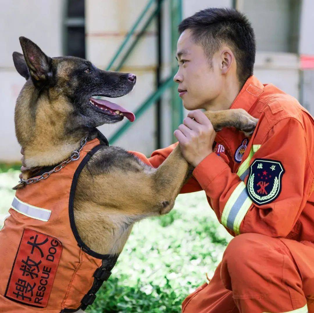 猛男+猛狗,丽江最帅组合!不服来辩!_小高