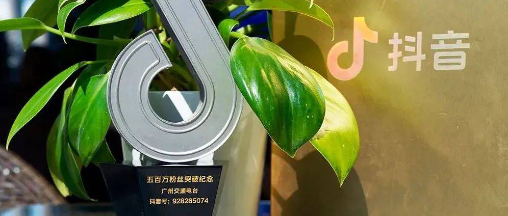 这个奖,五百万粉丝才有!_视频