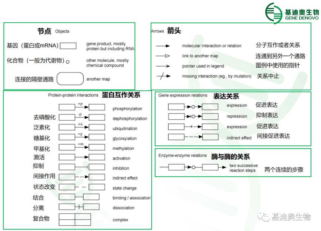 如何看懂kegg通路图?