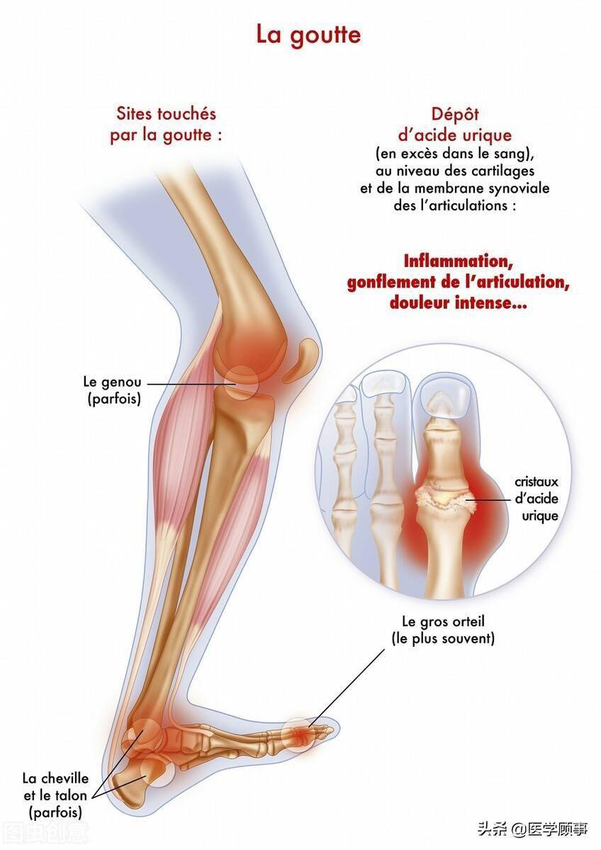 膝关节骨关节炎细胞治疗的基础与临床研究现状 软骨