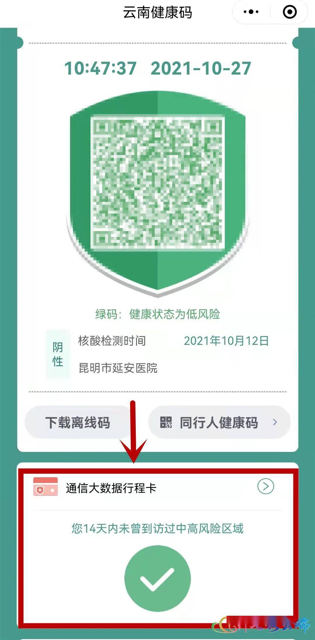 绿孔雀 云南健康码有变！
