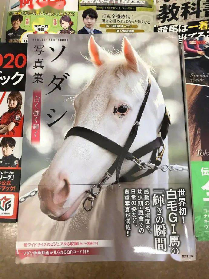 白马|世界最强，马中妲己！日本一本白马写真力压明星夺得销售榜第三名？看完后我理解了…
