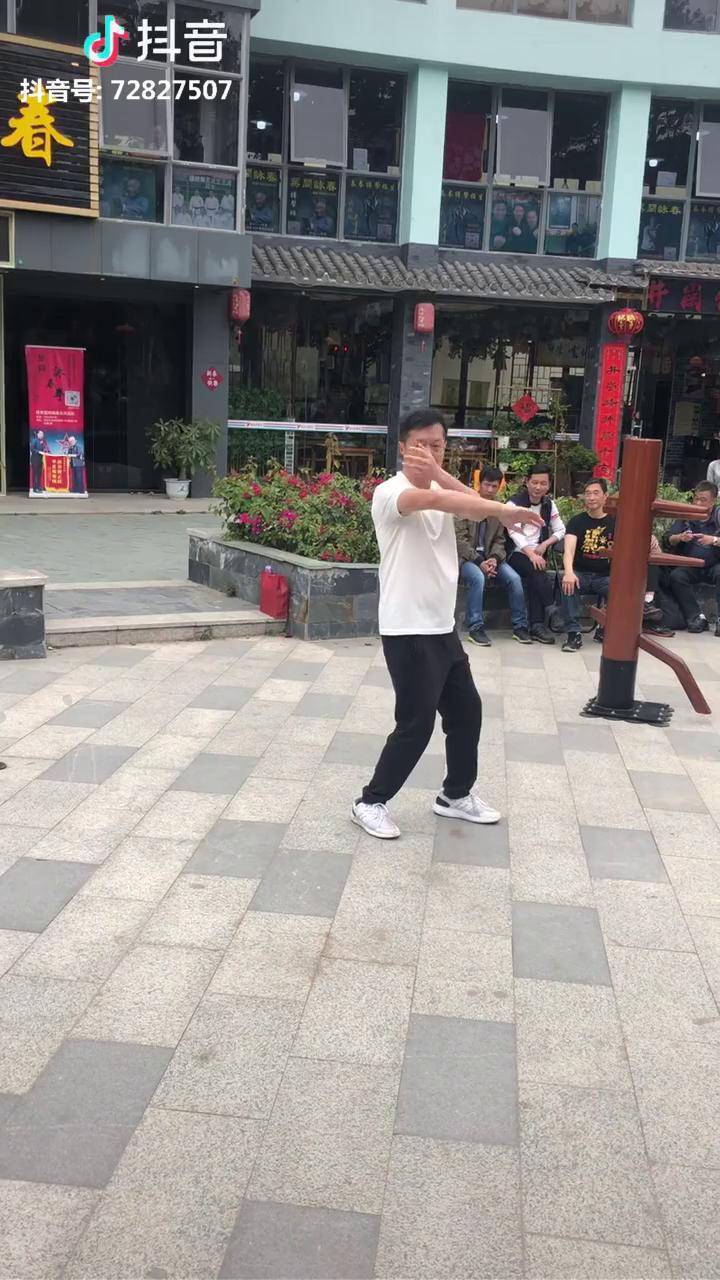 黄淳梁咏春拳学黄匡中咏春拳学之寻桥套路