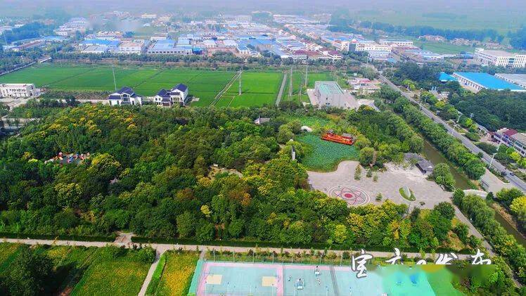 培税源一把手访谈宝应曹甸镇党委书记许杰做强特色产业力争十四五末