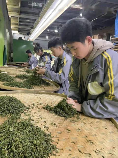 西湖西湖职高：培养“接地气”人才为乡村振兴赋能造血